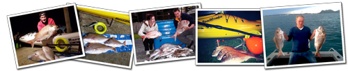 snapper longline fishing