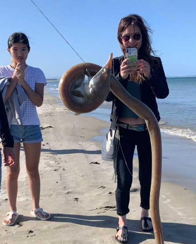 snake eel