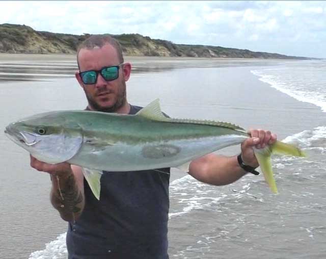 Drone fishing Catches, kingfish New Zealand
